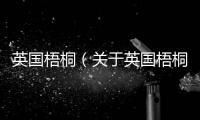 英國梧桐（關于英國梧桐的基本情況說明介紹）