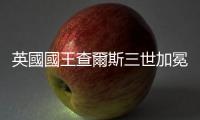 英國(guó)國(guó)王查爾斯三世加冕後首次發(fā)表聖誕演說(shuō)