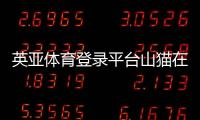 英亞體育登錄平臺(tái)山貓?jiān)诰€體育直播