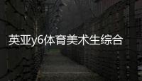 英亞y6體育美術(shù)生綜合分怎么算，綜合課是什么課