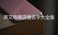英文電商店鋪名字大全集（英文 電商）