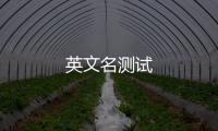 英文名測試