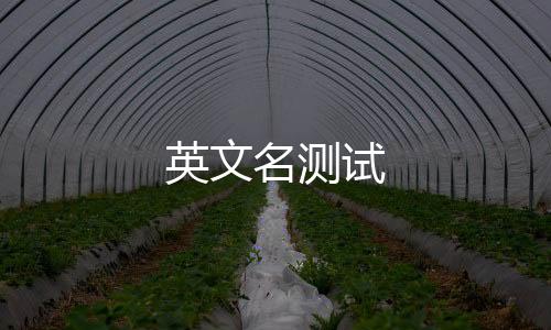 英文名測試