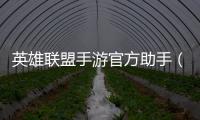 英雄聯(lián)盟手游官方助手（lol英雄聯(lián)盟助手）