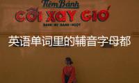 英語單詞里的輔音字母都有哪些（輔音字母都有哪些）