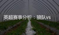 英超賽事分析：狼隊vs埃弗頓直播