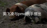 英飛凌與pmd攜手推出市場(chǎng)上具有超長(zhǎng)測(cè)量距離的3D圖像傳感器