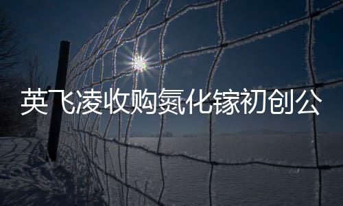 英飛凌收購氮化鎵初創公司GaN Systems，仍有數十億歐元并購金