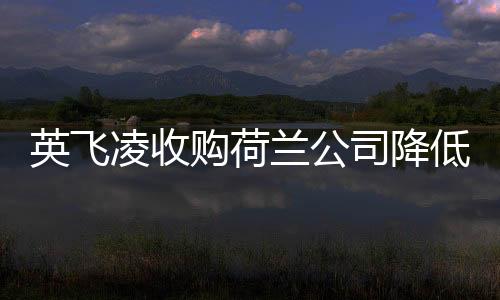 英飛凌收購荷蘭公司降低自動駕駛汽車技術成本