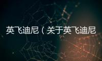英飛迪尼（關于英飛迪尼的基本情況說明介紹）