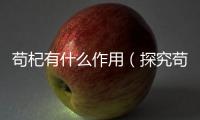 茍杞有什么作用（探究茍杞的營養(yǎng)價值及藥用功效）