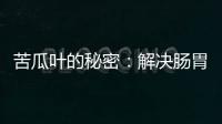 苦瓜葉的秘密：解決腸胃問題，煥發健康光彩