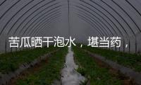 苦瓜曬干泡水，堪當(dāng)藥，清熱解毒防輻射