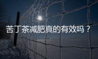 苦丁茶減肥真的有效嗎？苦丁茶減肥的正確方法和注意事項