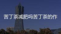 苦丁茶減肥嗎苦丁茶的作用與功效