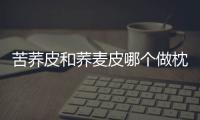 苦蕎皮和蕎麥皮哪個(gè)做枕頭好？枕頭內(nèi)芯填充物哪種最好？