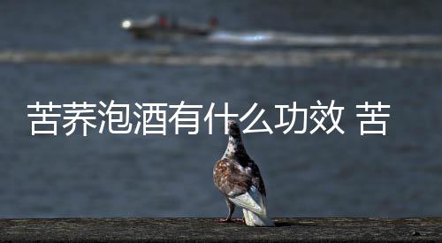 苦蕎泡酒有什么功效 苦蕎泡酒高血壓可以喝嗎