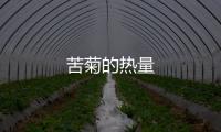 苦菊的熱量
