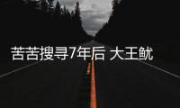 苦苦搜尋7年后 大王魷魚(yú)再次被拍攝到