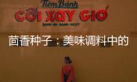茴香種子：美味調(diào)料中的營(yíng)養(yǎng)寶藏