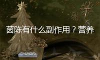 茵陳有什么副作用？營養師告訴你真相！