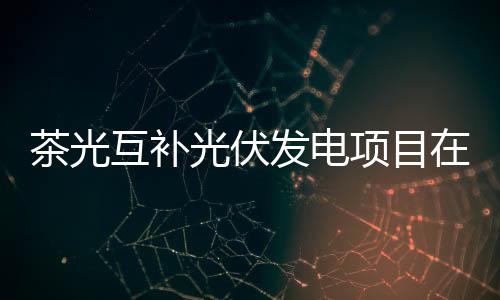茶光互補光伏發電項目在云南并網投產