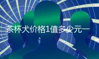茶杯犬價格1值多少元一只  茶杯犬價錢一般多少錢