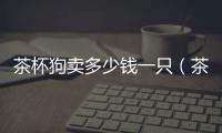 茶杯狗賣多少錢一只（茶杯狗多少錢一只最便宜）