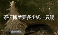 茶杯博美要多少錢一只呢？茶杯博美狗狗多少錢一只