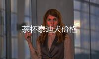 茶杯泰迪犬價(jià)格