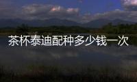 茶杯泰迪配種多少錢一次(茶杯泰迪體型對照表)