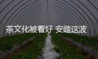 茶文化被看好 安踏這波跨界玩的真高