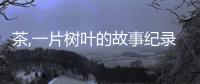 茶,一片樹葉的故事紀錄片觀后總結感受