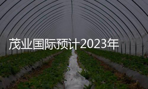 茂業國際預計2023年或凈虧損6000萬至1.3億 觸發股權糾紛減值1.9億