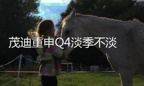 茂迪重申Q4淡季不淡 美國市場正向樂觀