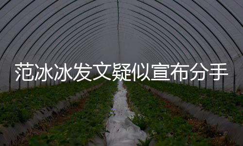 范冰冰發(fā)文疑似宣布分手：我們不再是我們