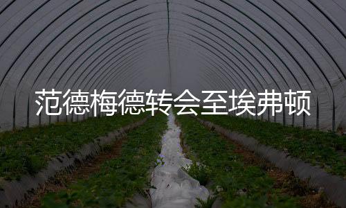 范德梅德轉會至埃弗頓