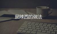 茄辣西的做法