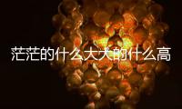 茫茫的什么大大的什么高高的什么（茫茫的什么）