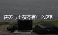 茯苓與土茯苓有什么區別，雖只一字之差，卻不少人弄混