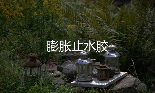 膨脹止水膠