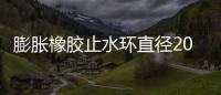 膨脹橡膠止水環直徑20mm價錢
