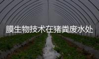 膜生物技術在豬糞廢水處理中的應用