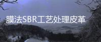 膜法SBR工藝處理皮革廢水研究