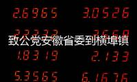 致公黨安徽省委到橫埠鎮調研農村發展工作