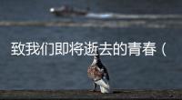 致我們即將逝去的青春（關于致我們即將逝去的青春的基本情況說明介紹）