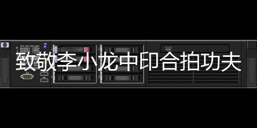 致敬李小龍中印合拍功夫電影《鳳爭虎斗》新聞發布會
