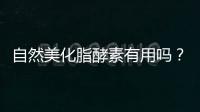 自然美化脂酵素有用嗎？了解一下效果和注意事項