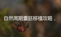 自然周期囊胚移植攻略，做到這3點成功率翻一倍