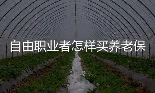 自由職業者怎樣買養老保險劃算